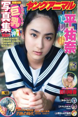 梦回朝歌